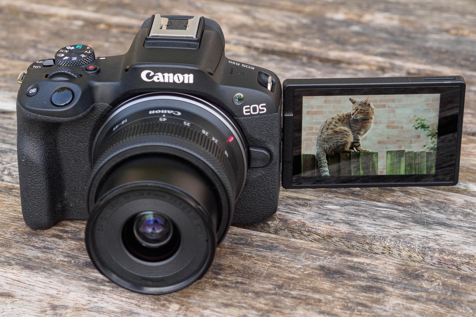 Review Canon R50 – Máy ảnh nhỏ gọn hot trend cho giới trẻ | Trần Huy Camera